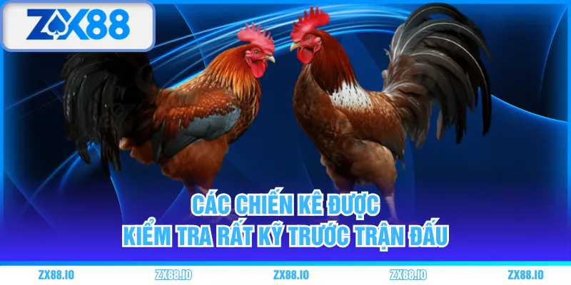 Các chiến kê được kiểm tra rất kỹ trước trận đấu