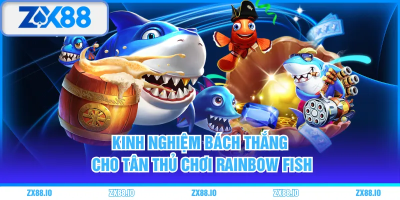 Kinh nghiệm bách thắng cho tân thủ chơi Rainbow Fish
